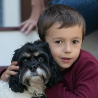 Boy with black and white dog