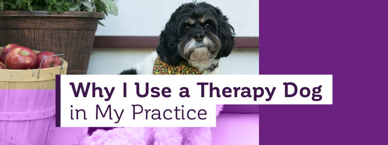 Why I Use a Therapy Dog in my Practice 800x300px